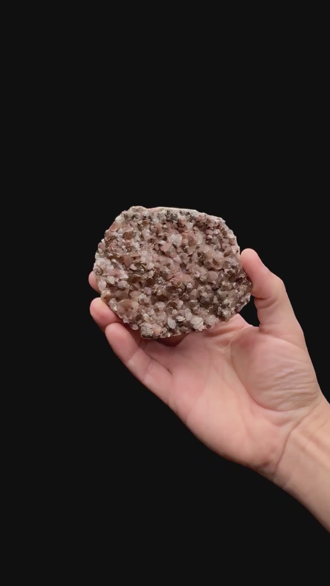 Specimen rotation video 109