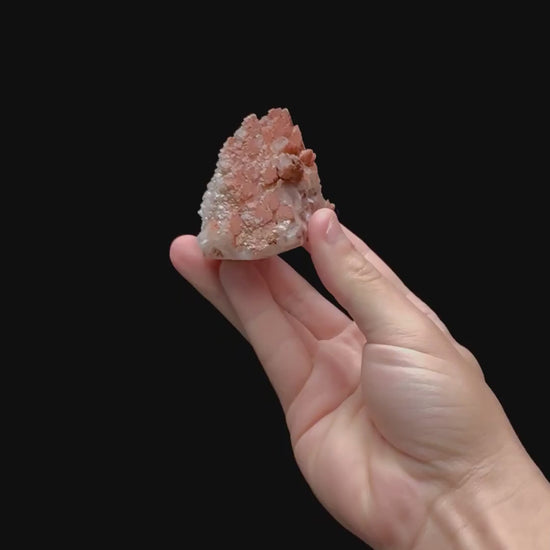 Specimen rotation video 0394