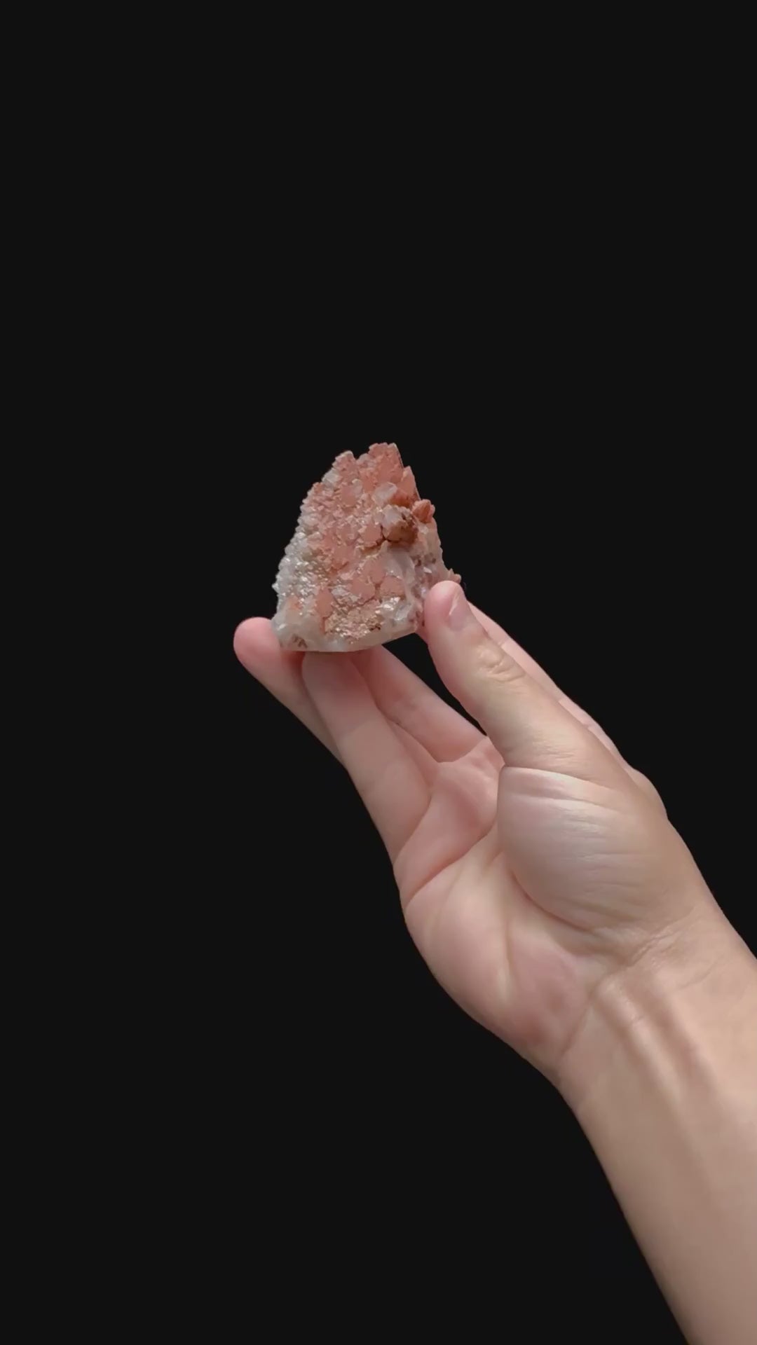 Specimen rotation video 0394