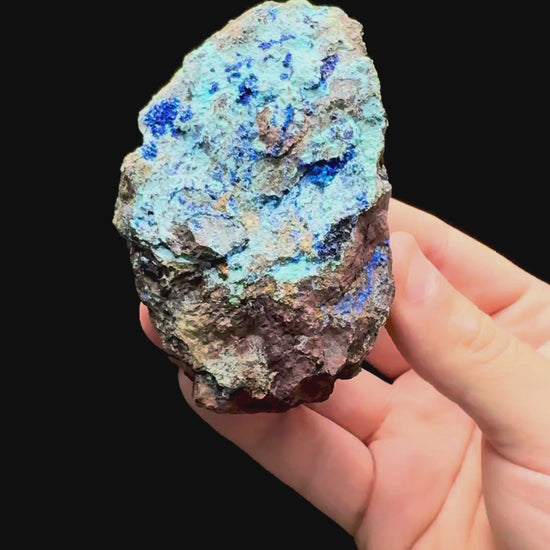 Specimen rotation video 622