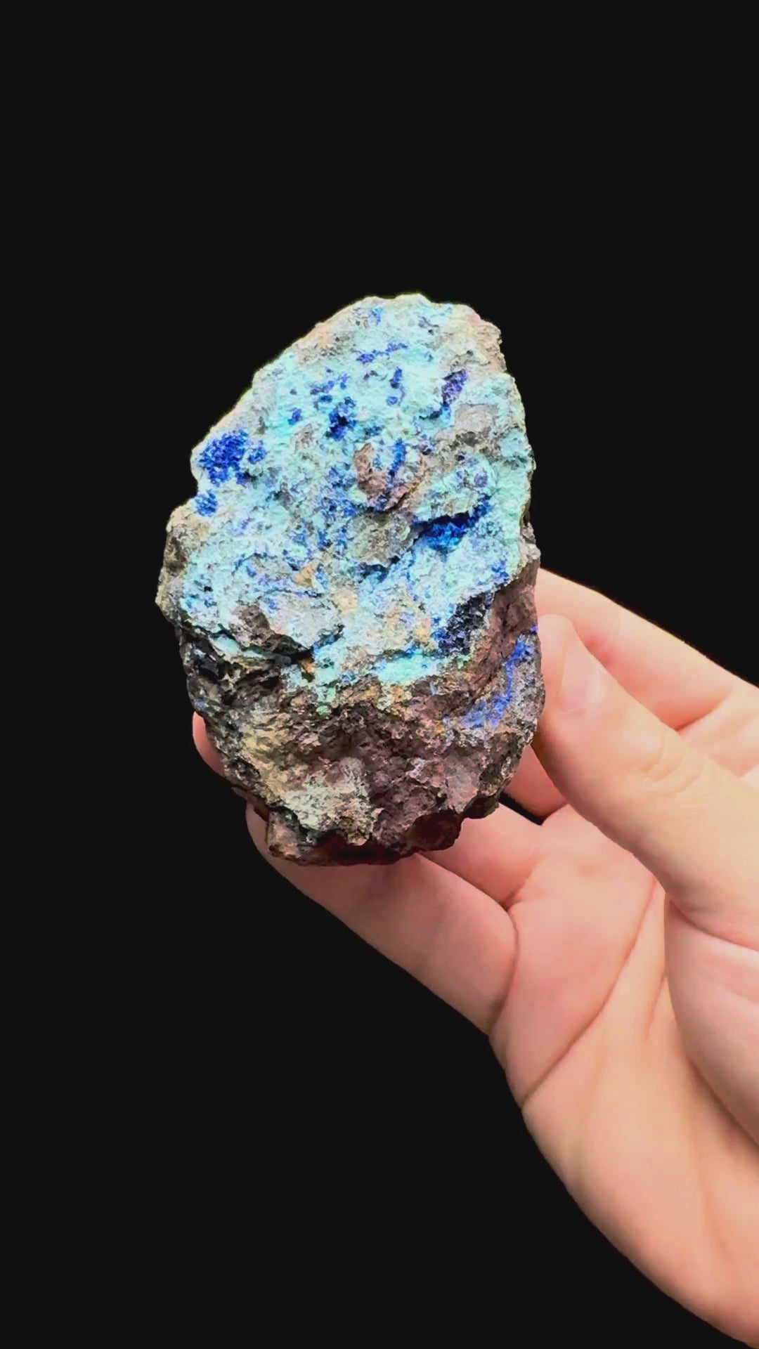 Specimen rotation video 622
