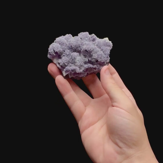 Specimen rotation video 0428