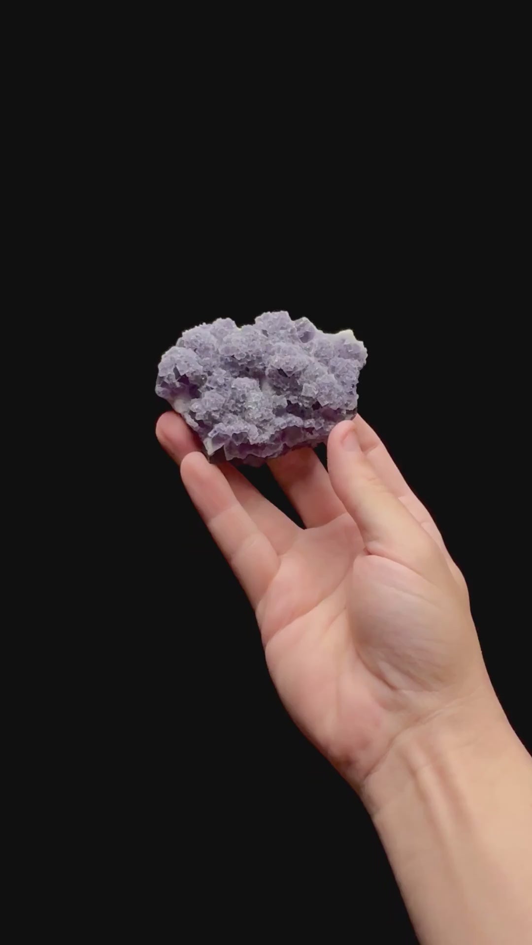 Specimen rotation video 0428