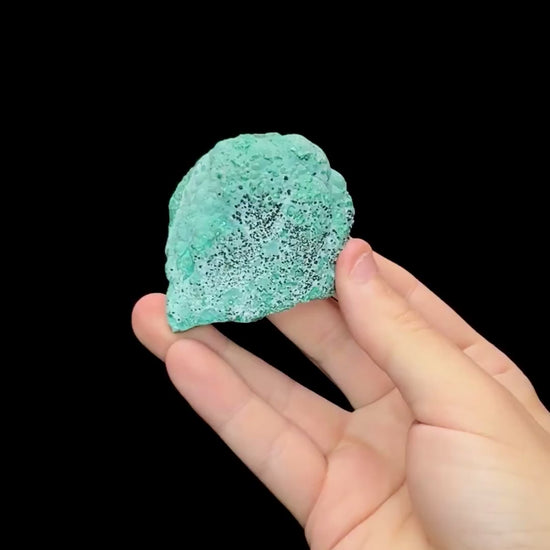 Specimen rotation video 0683