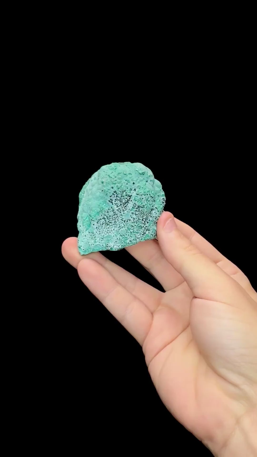 Specimen rotation video 0683