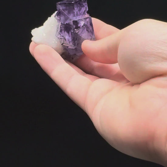 Specimen rotation video 179