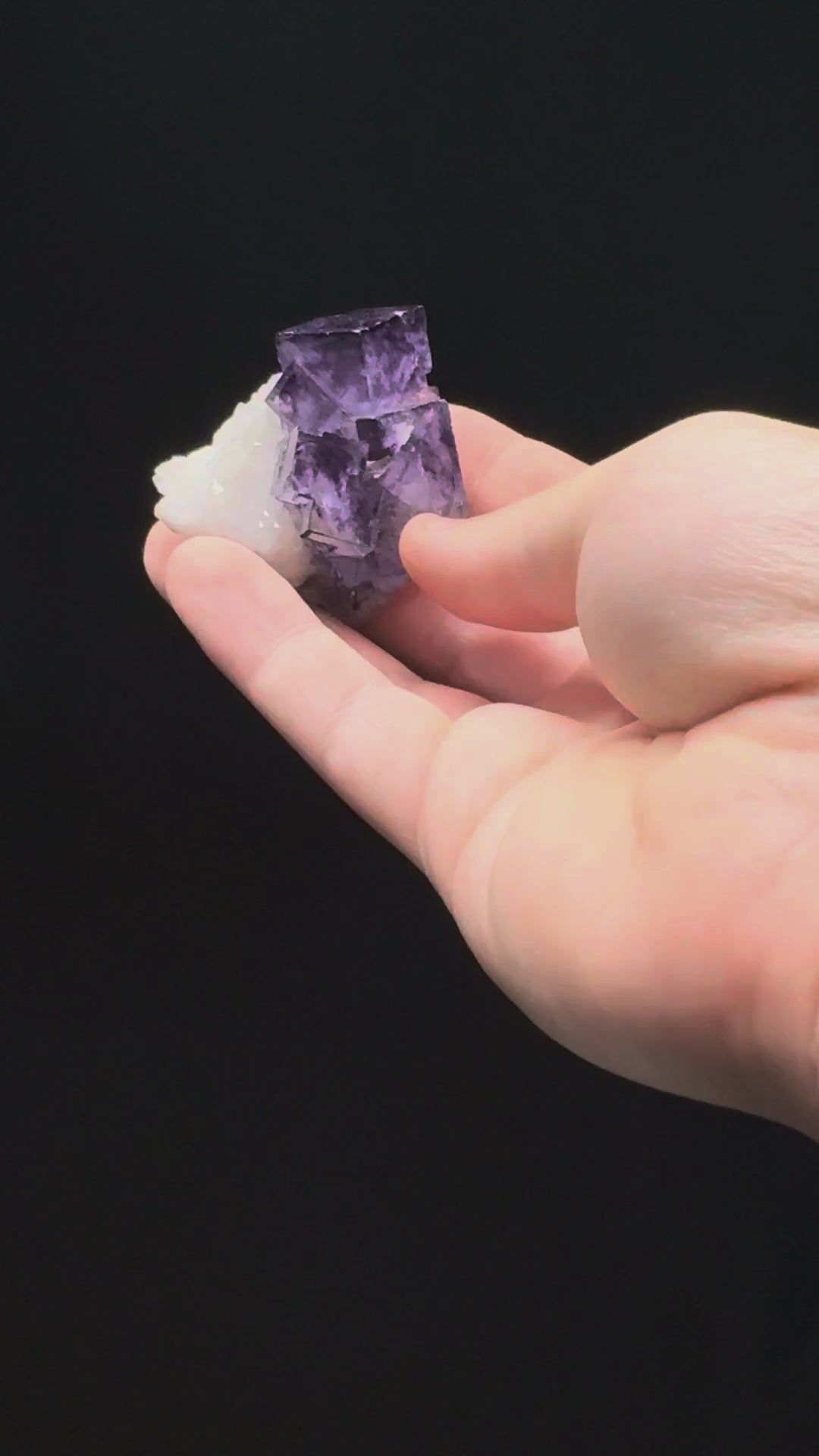Specimen rotation video 179