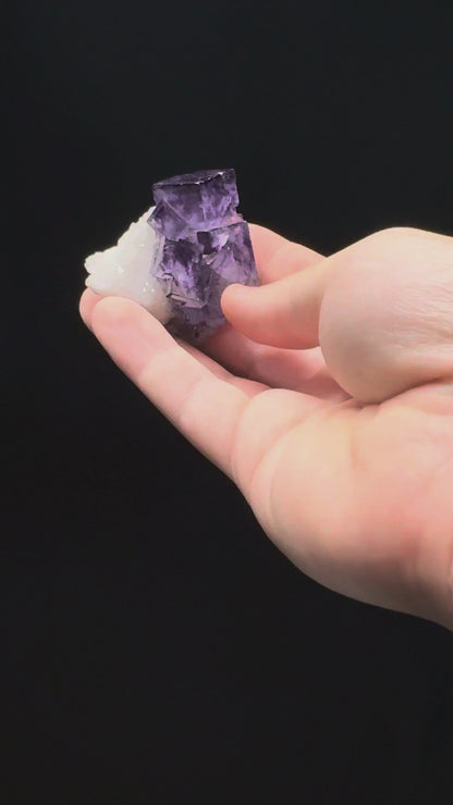Specimen rotation video 179