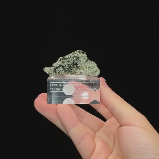 Specimen rotation video 0726