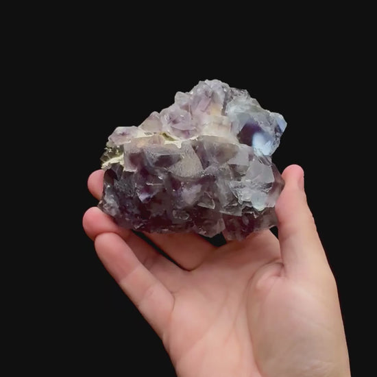 Specimen rotation video 0390