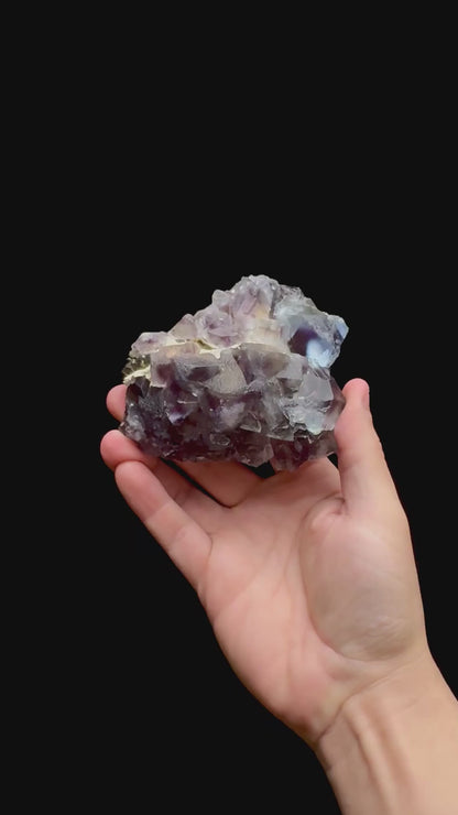 Specimen rotation video 0390