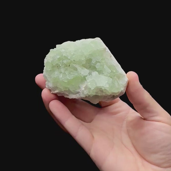 Specimen rotation video 198
