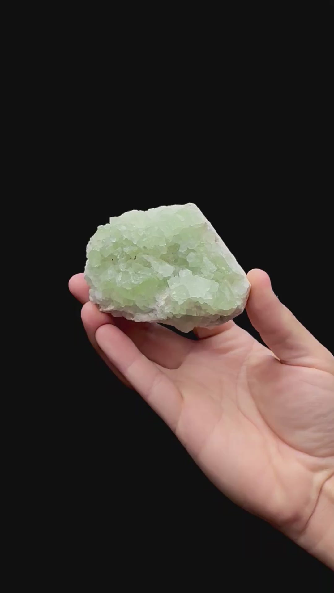Specimen rotation video 198