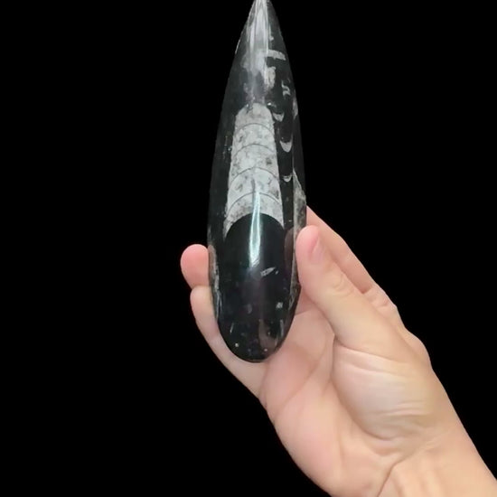 Specimen rotation video 0671