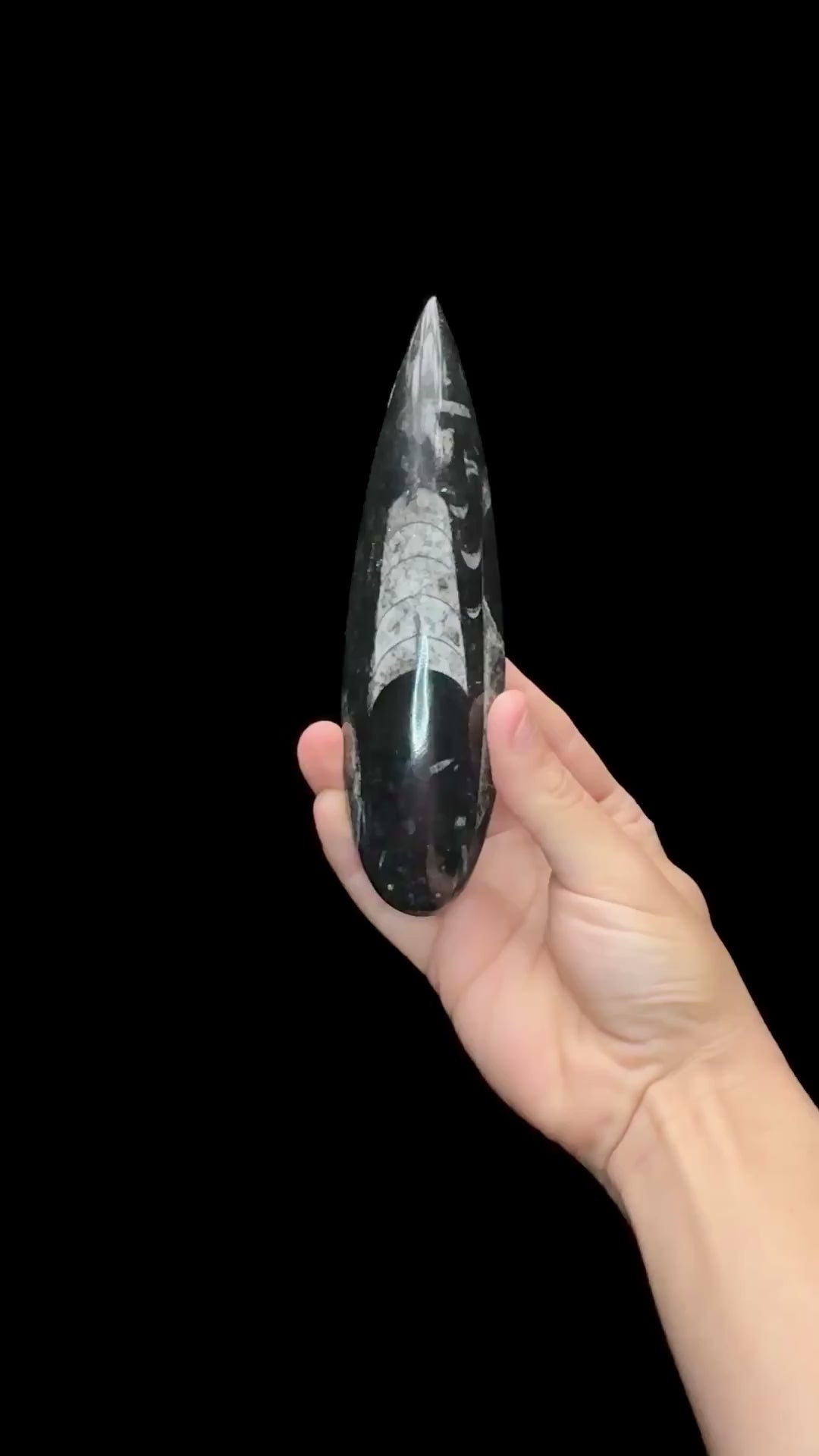 Specimen rotation video 0671