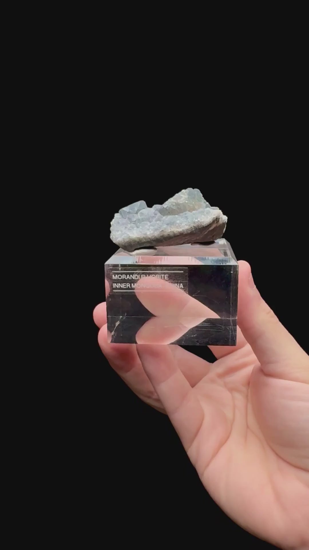 Specimen rotation video 138