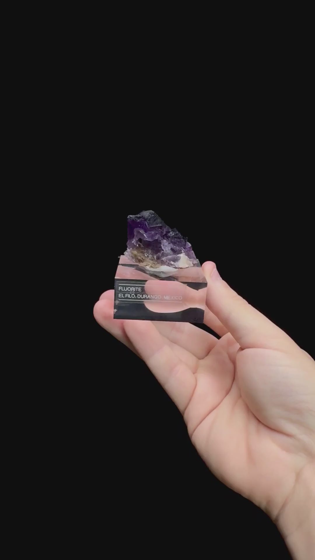 Specimen rotation video 0504