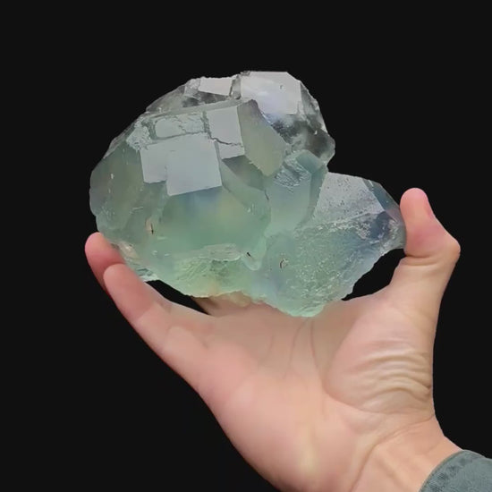 Specimen rotation video 285