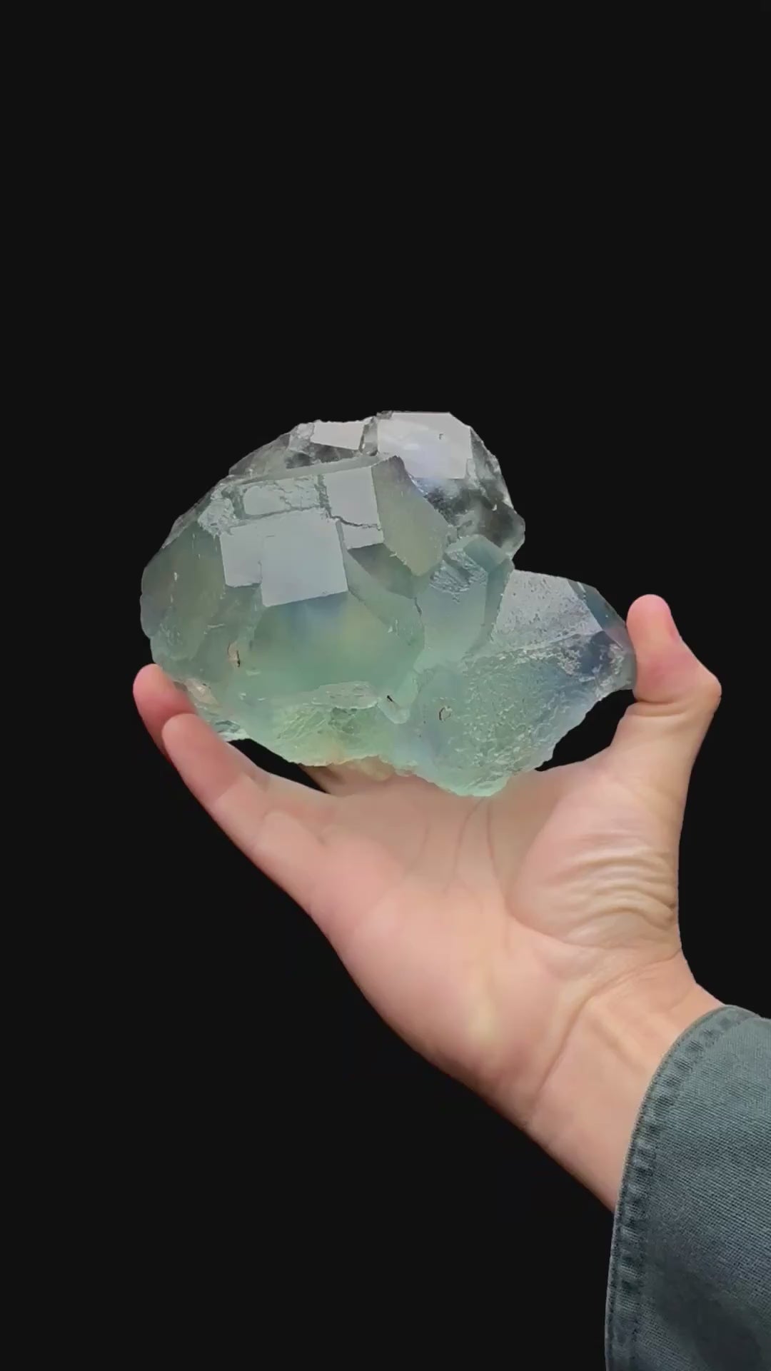 Specimen rotation video 285