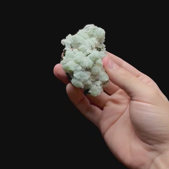Specimen rotation video 0406