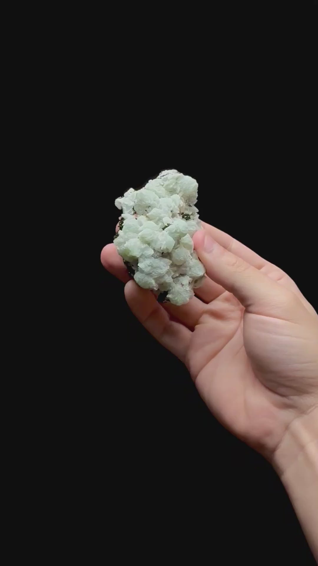 Specimen rotation video 0406