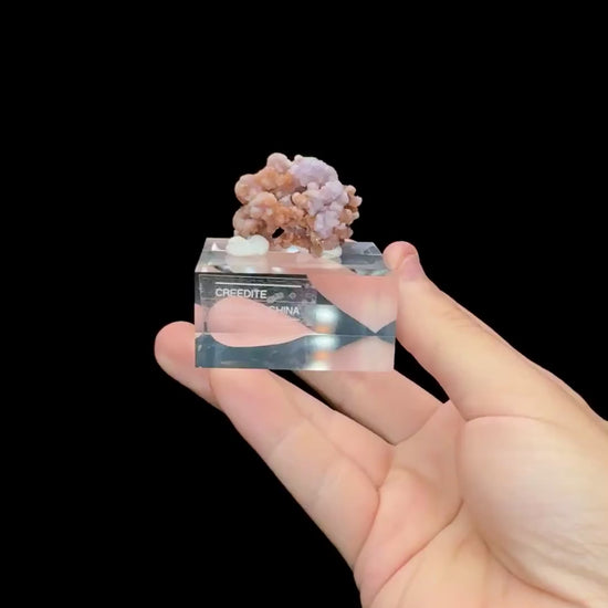 Specimen rotation video 0681