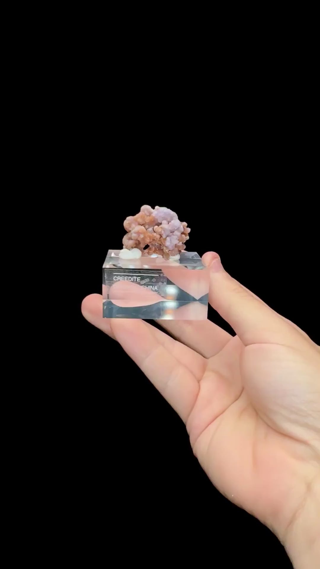 Specimen rotation video 0681