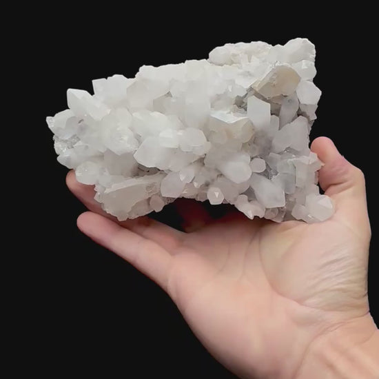 Specimen rotation video 233