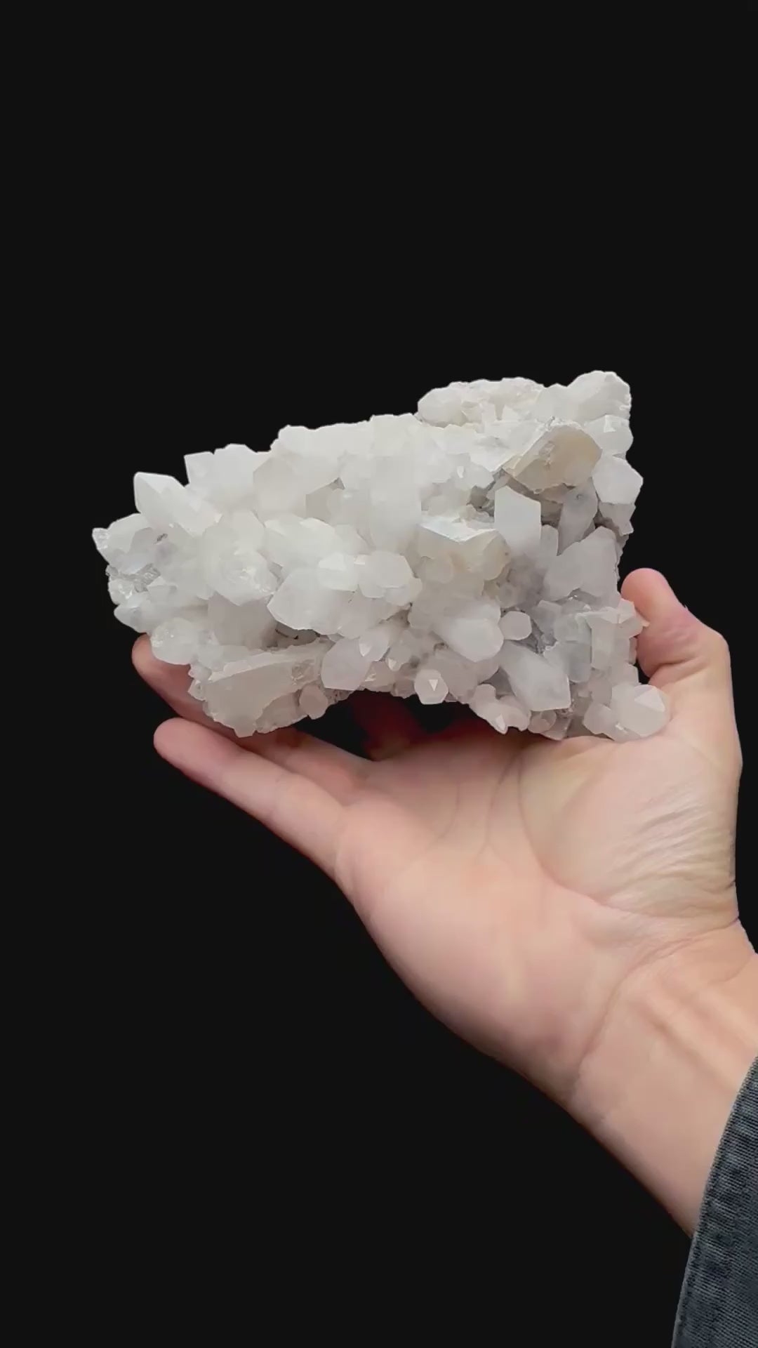 Specimen rotation video 233