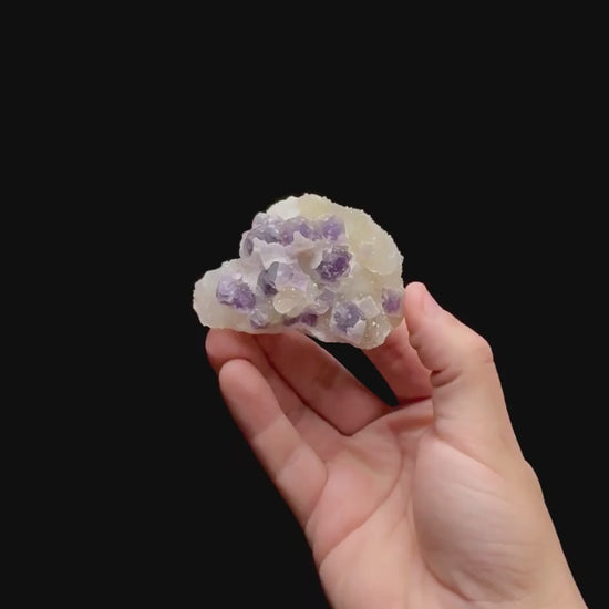 Specimen rotation video 0476