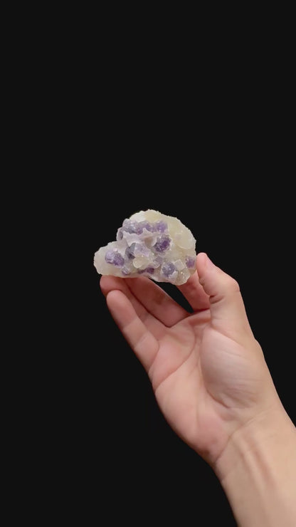 Specimen rotation video 0476