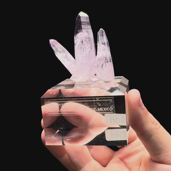 Specimen rotation video 370