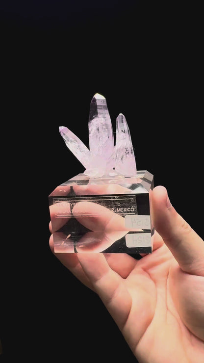 Specimen rotation video 370