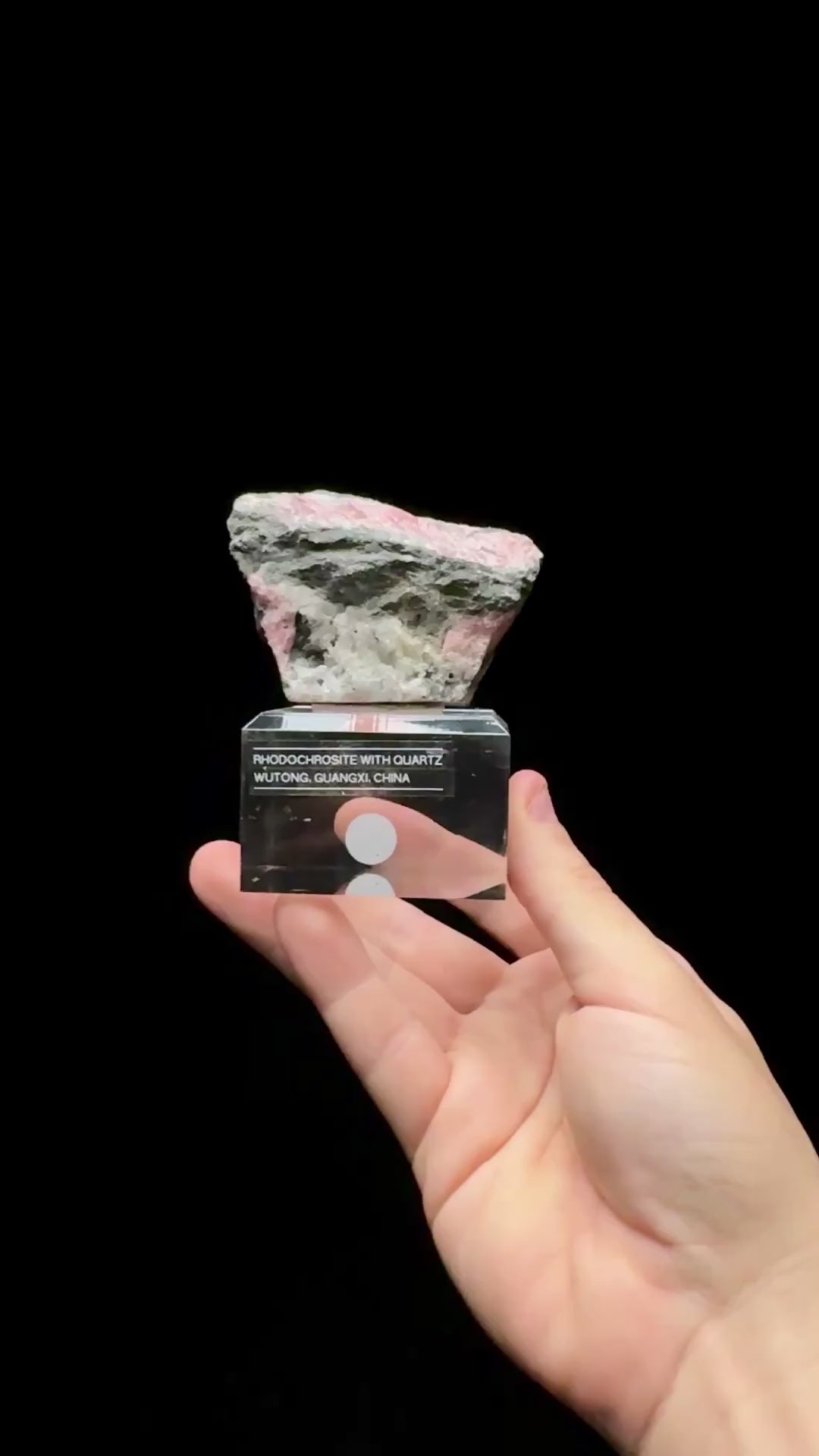 Specimen rotation video 0568