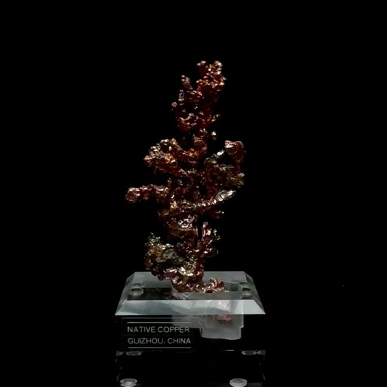 Specimen rotation video 0749
