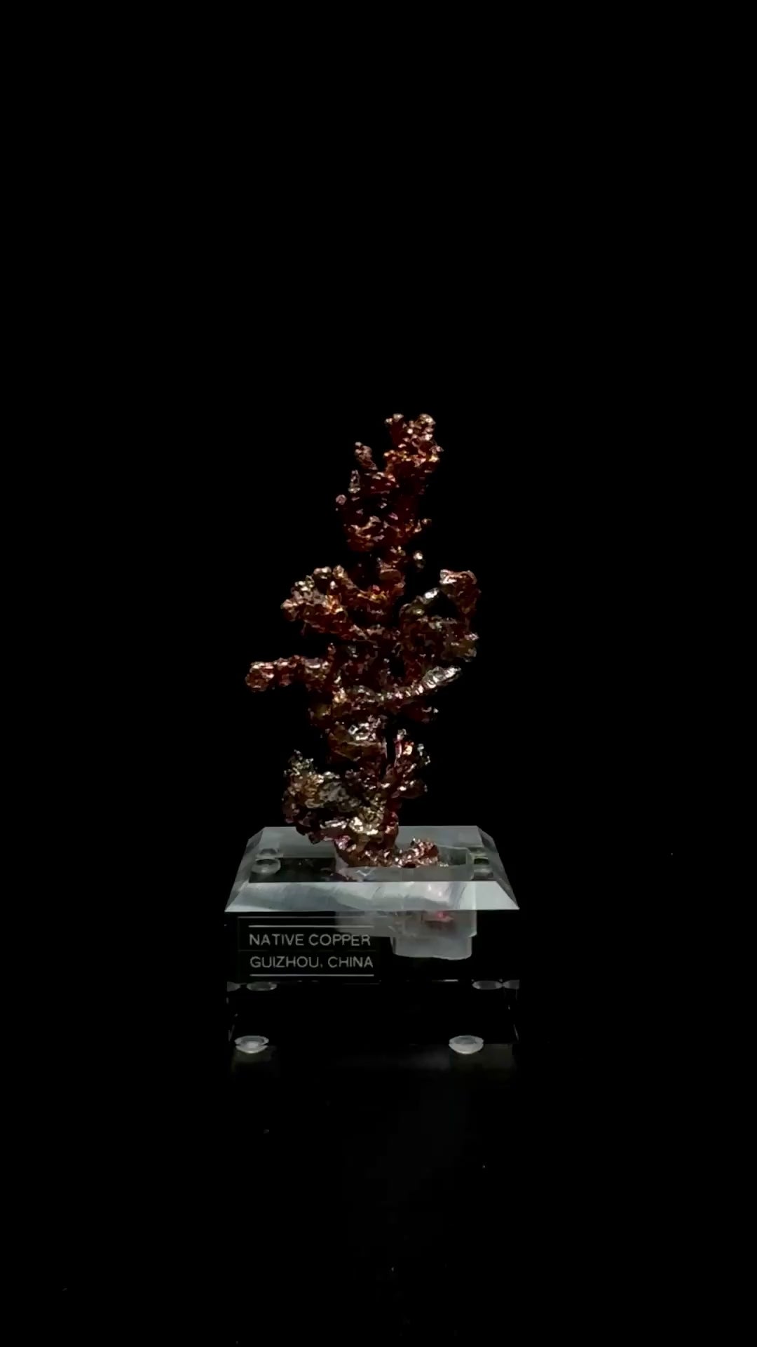 Specimen rotation video 0749