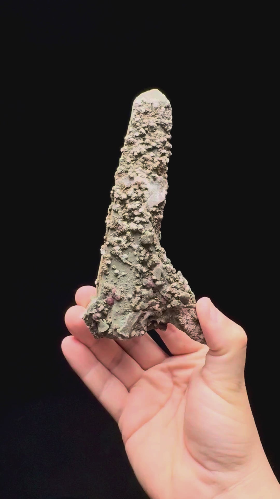 Specimen rotation video 589