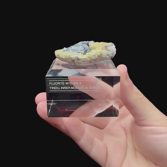Specimen rotation video 223