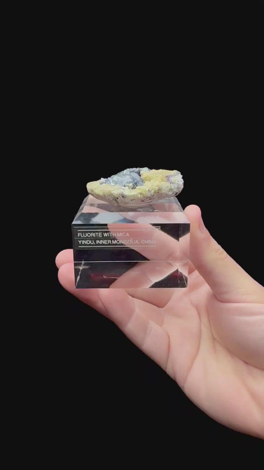 Specimen rotation video 223