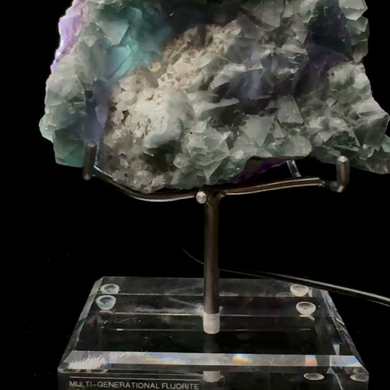 Specimen rotation video 0634