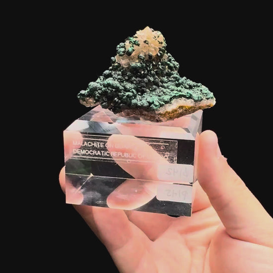 Specimen rotation video 539