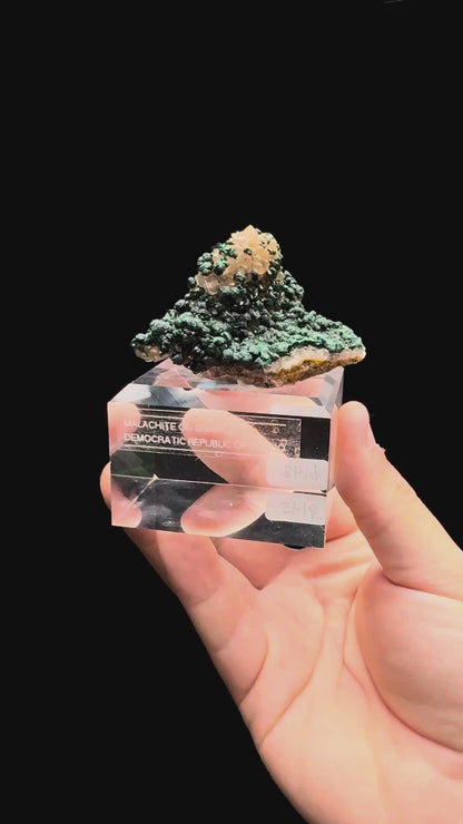 Specimen rotation video 539
