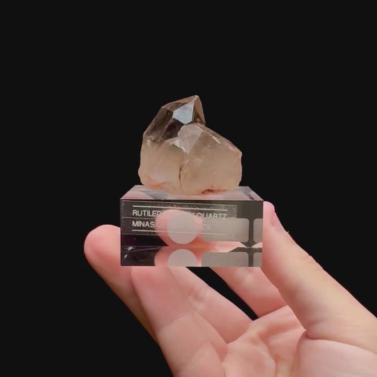 Specimen rotation video 0318