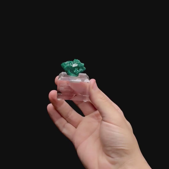 Specimen rotation video 0447