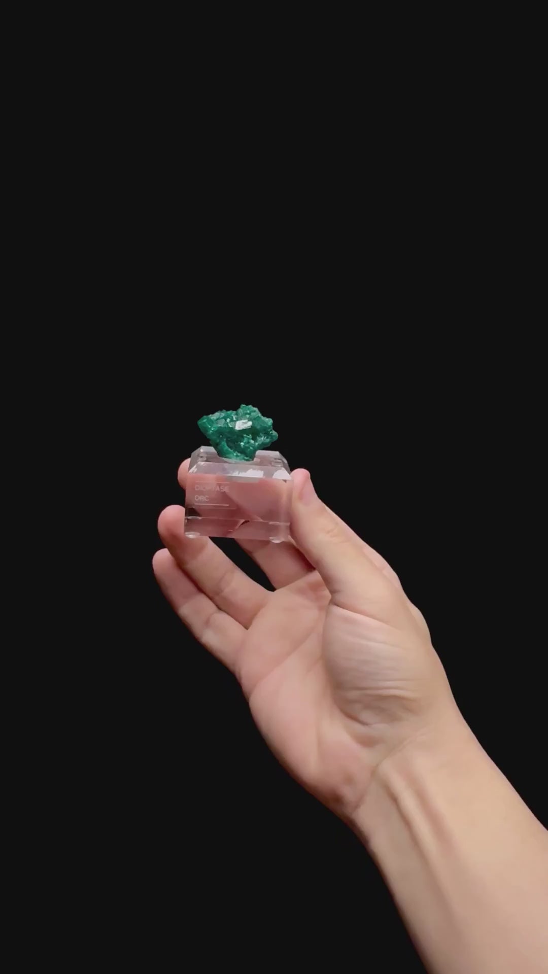 Specimen rotation video 0447