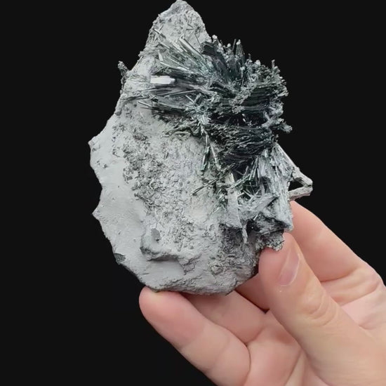 Specimen rotation video 052
