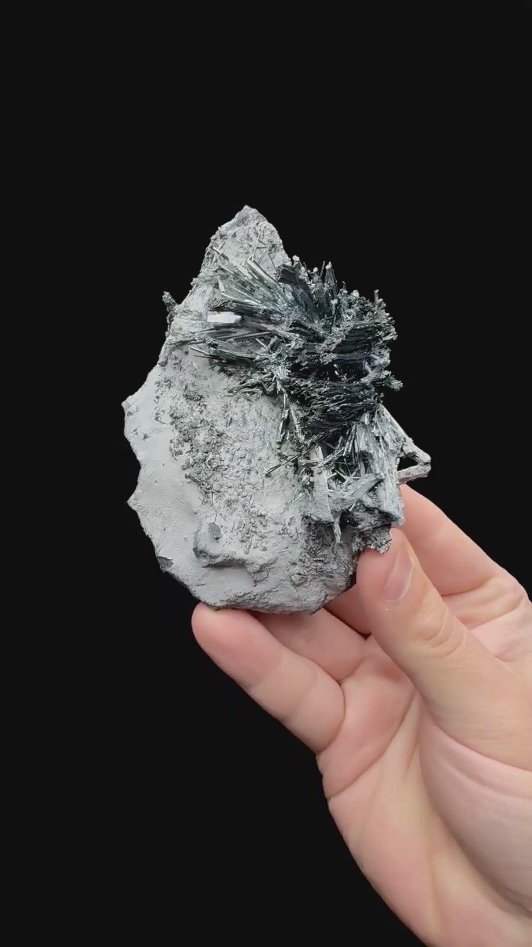 Specimen rotation video 052