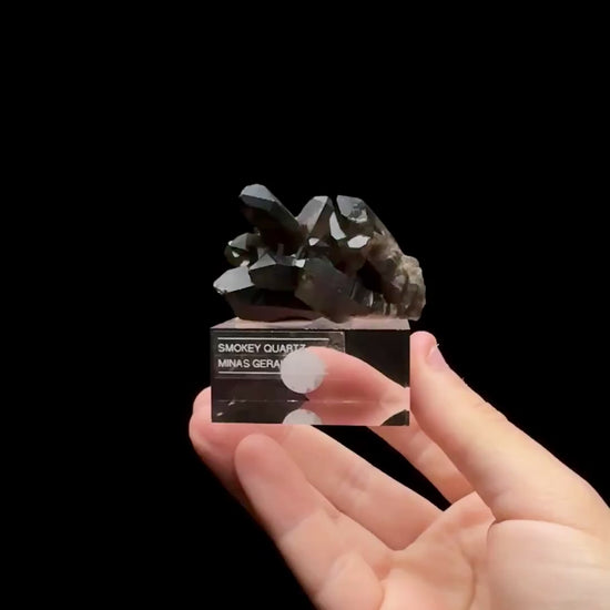 Specimen rotation video 0659