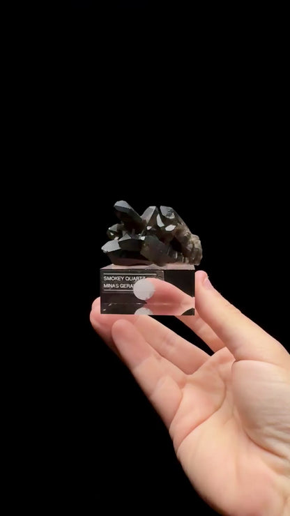 Specimen rotation video 0659