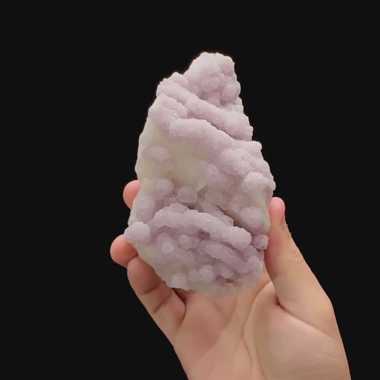 Specimen rotation video 0297
